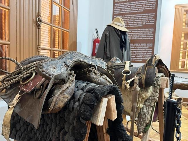 zimg-20250514-wa0060 2